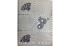 山东YX14-TO38 水果蜜柚